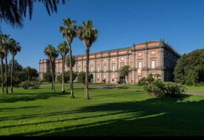 G&G Capodimonte